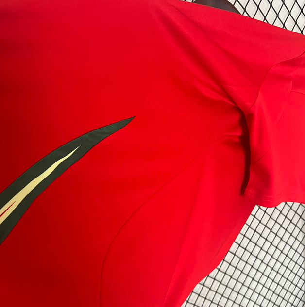 Maillot domicile Pays de Galles 2024