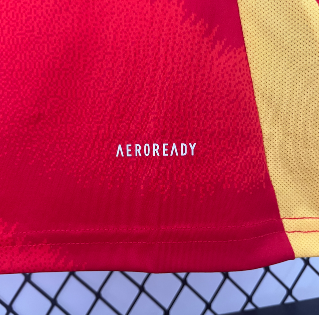 Maillot domicile Espagne 2024