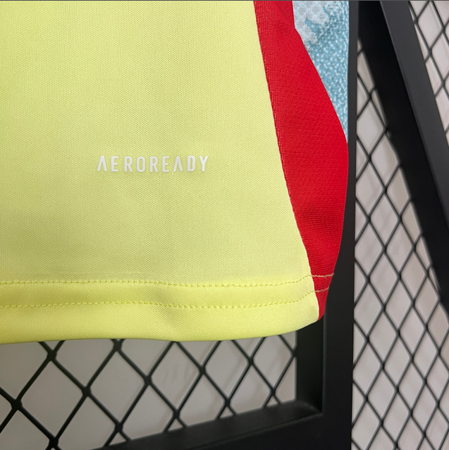 Maillot extérieur Espagne 2024