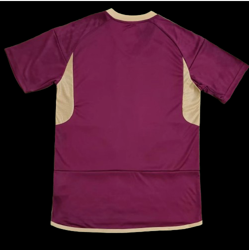 Maillot domicile Venezuela 2024