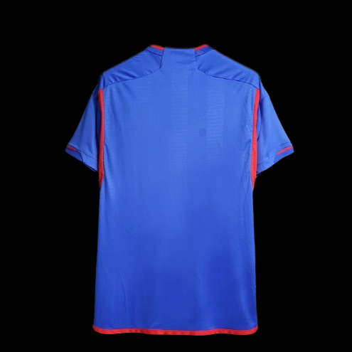 Maillot Olympique Lyonnais extérieur 23/24