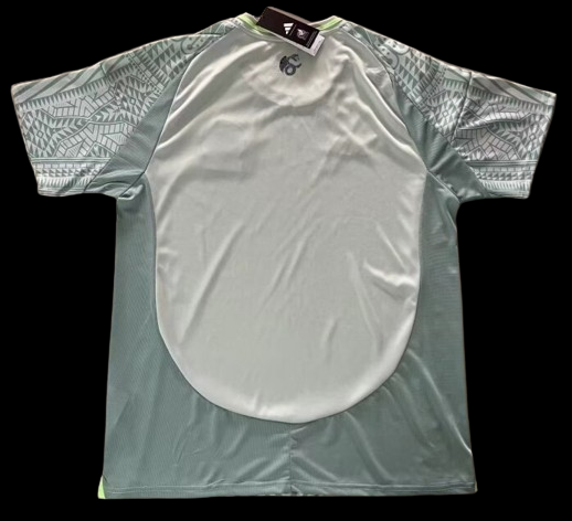 Maillot domicile Mexique 2024