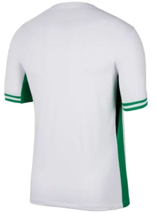 Maillot domicile Nigéria 2024